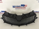 Grille w/ Emblem